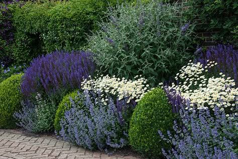 Herbaceous Border, Cottage Garden Design, Front Landscaping, Garden Shrubs, Have Inspiration, Garden Area, Garden Borders, New Garden, Gorgeous Gardens