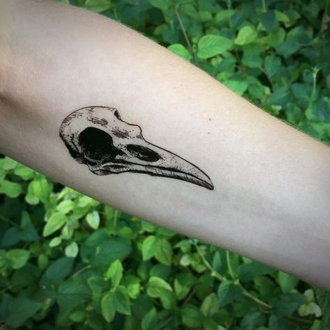 Crow Skull Temporary Tattoo Animal Bones Tattoo Bird Skull | Etsy Wolf Sketch Tattoo, Bird Skull Tattoo, Bones Tattoo, Lion Hand Tattoo, Gotik Tattoo, Tattoo Son, Tatuagem Masculina Pequena, Quarter Sleeve Tattoos, Skull Hand Tattoo