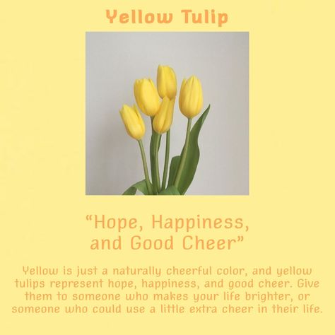 Yellow Tulips Meaning, Loml Meaning, Tulips With Quotes, Tulip Meaning, Tulips Quotes, Hook Quotes, Meaning Aesthetic, Tulip Flower Pictures, Quotes Yellow