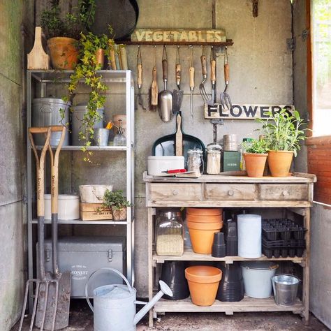 Potting Shed Interior Ideas, Small Garden Shed Ideas, Potting Shed Ideas, Messy Garden, Garden Room Interiors, Potting Bench Ideas, Garden Shed Interiors, Small Garden Shed, Fenced Vegetable Garden