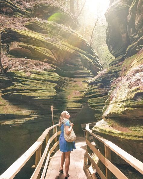 This guide to the best Instagram photo spots in Madison, Wisconsin will convince you to visit this charming Midwest city. Graduation Flowers Bouquet, North Dakota Badlands, Aries New Moon, Minnesota Hiking, Midwest Travel Destinations, Buck Moon, Gooseberry Falls, Midwest Vacations, Travel Minnesota