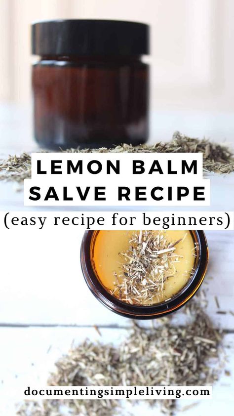 This lemon balm salve recipe is straightforward to make and uses only natural ingredients. It helps soothe insect bites, calm skin irritations, and heal cold sores. Comfrey Salve Recipe, Lemon Balm Salve, Herbal Oil Recipes, Diy Healing Balm, Lemon Balm Uses, Lemon Balm Recipes, Herbal Salve Recipes, Salves And Balms, Lemon Balm Tincture