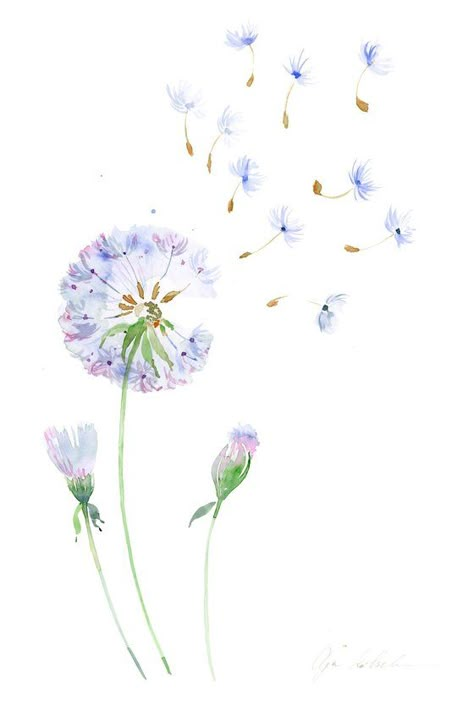 Blue Dandelion Tattoo, Blowing Dandelion Illustration, Danlion Flower Drawing, Dandelion Flower Painting, Dandilines Flower Drawing, Dandelion Drawing Watercolor, Dandelion Watercolor Painting, Dandelion Art Painting, Dandelions Painting