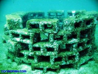 Pond Structure, Coral Restoration, Oyster Farming, Pond Habitat, Ponds Ideas, Fish Habitat, Underwater Environment, Underwater Sculpture, Artificial Reef