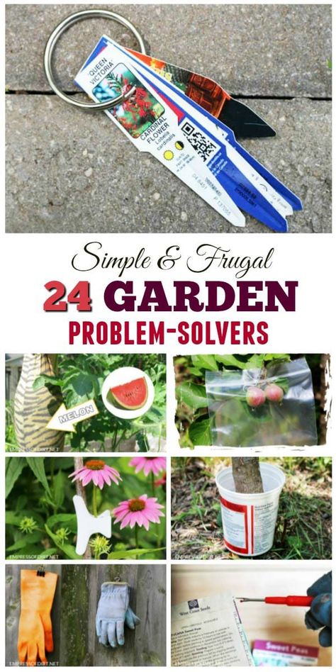 Garden Diy Decoration Ideas, Lobelia Cardinalis, Practical Garden, Garden Problems, Garden Hacks, Kitchen Drawer, Community Gardening, Gardening Tools, Veggie Garden