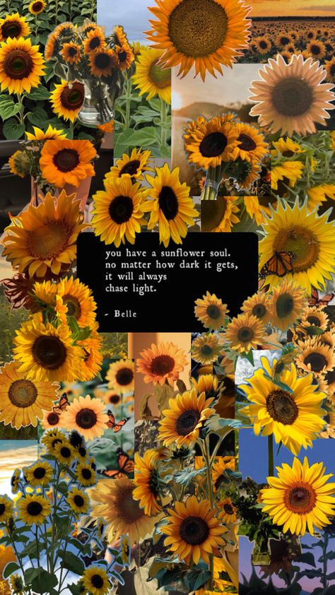 Sunflower Quotes, Sunflower Pictures, Pretty Aesthetic, Arte Van Gogh, Pretty Phone Wallpaper, Sunflower Wallpaper, Flower Therapy, Yellow Aesthetic, A Collage