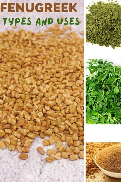 This post clarifies all the confusion about the many forms of fenugreek and the difference between Fenugreek leaves Vs seeds? Easy Indian Food Recipes, Types Of Spices, Health Pics, Indian Food At Home, Spice Pantry, Cooking Indian Food, Essential Spices, Indian Spice Box, Fenugreek Benefits