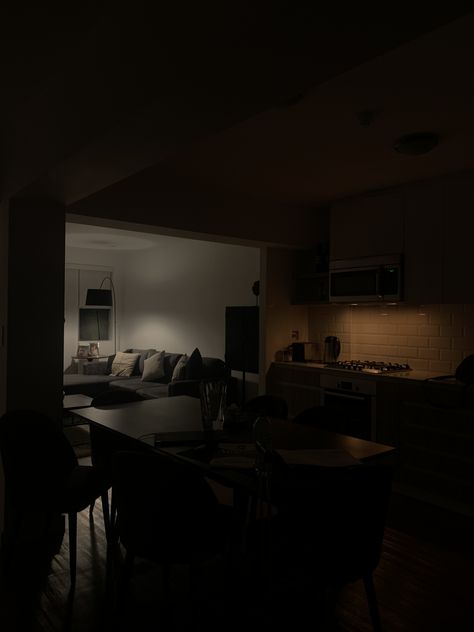 Studio Apartment Aesthetic Dark, Pretty Apartment Aesthetic, House Aesthetic Dark, Black Interior House, Dark Nyc, Dark Home Aesthetic, Apartment Dark, Living Alone Diaries, Couple Apartment