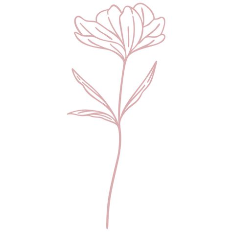 Spider Lily Tattoo, Simple Line Art, Spider Lily, Floral Line Art, Minimalist Flower, Lily Tattoo, Simple Lines, Line Design, Line Art