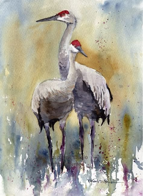 Sandhill Cranes, Heron Art, Sandhill Crane, Bird Watercolor Paintings, Bird Watercolor, Watercolor Birds, Bird Paintings, Herons, Bird Painting