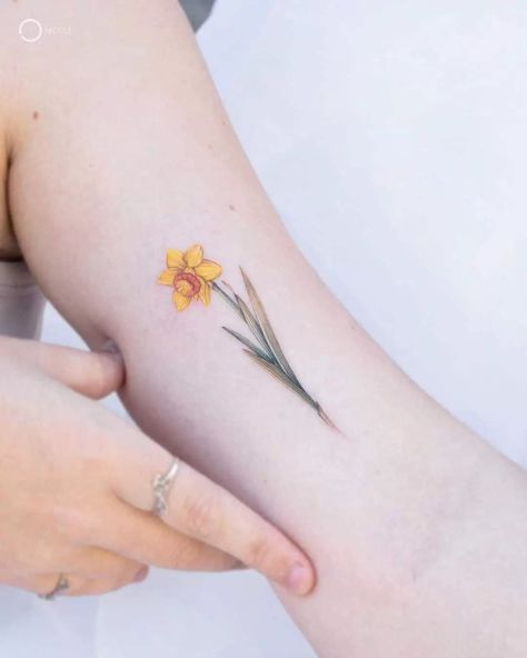 What Does A Daffodil Tattoo Mean? Daffodil Tattoo Fine Line, Daffodil Tattoo Color, Small Daffodil Tattoo, Tattoos Daffodil, Dainty Daffodil Tattoo, Wedding Tattoo Ideas, Daffodil Flower Tattoos, Cosmos Tattoo, Plumeria Tattoo