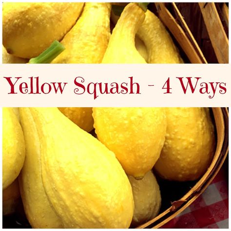 Yellow Summer Squash - 4 Ways Yellow Long Neck Squash Recipes, Yellow Summer Squash Recipes Simple, Yellow Crooked Neck Squash Recipes, Yellow Crookneck Squash Recipes, What To Do With Yellow Squash, Crookneck Squash Recipes, Freezing Yellow Squash, Baked Yellow Squash, Sauteed Yellow Squash