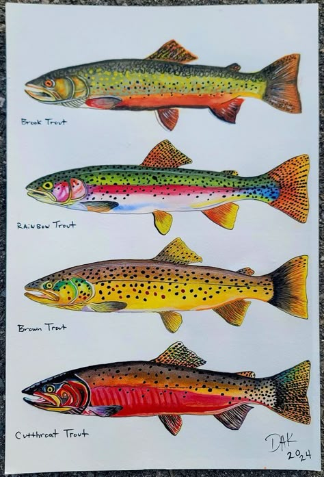 Trout Oil Painting, Watercolor Trout Painting, Abstract Trout Painting, Acrylic Trout Painting, Brook Trout Painting, Trout Drawing Simple, Brown Trout Painting, How To Draw A Trout, Brook Trout Drawing