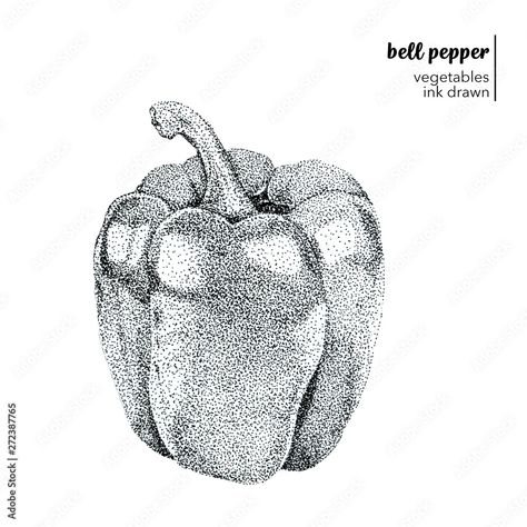 Red Redemption 2, Food Drawing, Stippling, Architecture Sketch, Inspiring Art, Bell Pepper, Ink Drawing, Image Illustration, Stuffed Bell Peppers