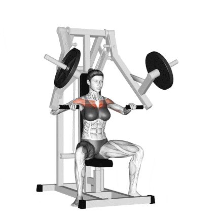 Machine Incline Chest Press Incline Press Machine, Chest Press Machine Workouts, Incline Chest Press Machine, Chest Workout Machine, Incline Chest Press, Chest Press Machine, Pectoralis Major, Workout Female, Shoulder Strain