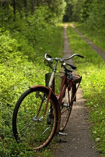 C o մ n t r y . R o a d s White Bicycle, Old But Gold, Velo Vintage, Old Bicycle, Cycle Chic, Country Roads Take Me Home, Forest Trail, I Want To Ride My Bicycle, Bike Riding