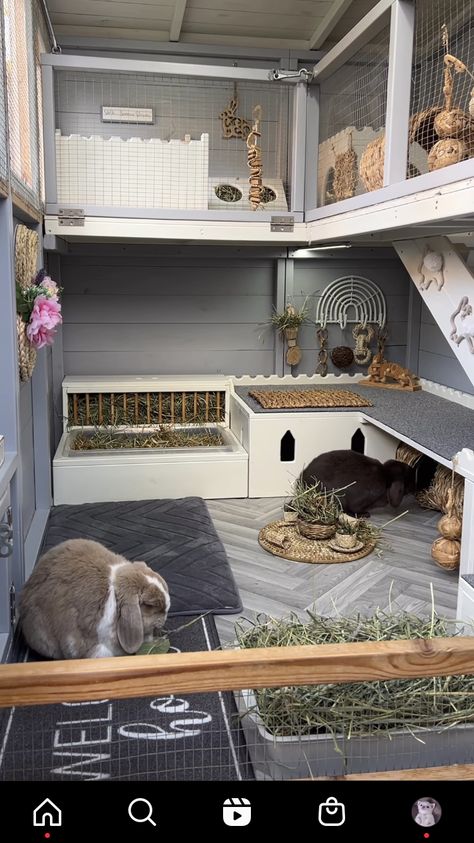 Bunny Runs Indoor, Bunny Outdoor Cage, Backyard Bunny Habitat, Rabbit Ideas Outdoor, C&c Rabbit Cage Ideas, Diy Bunny House Indoor Rabbit, Luxury Rabbit House, Giant Rabbit Enclosure, Two Story Bunny Cage