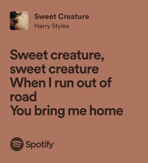 sweet creature - harry styles Nora Stephens And Charlie Lastra, Sweet Creature Lyrics, Harry Styles Hs1, Nora Stephens, Book Lovers By Emily Henry, Marvelous Time Ruining Everything, Harry Styles Lyrics, Ruining Everything, Animal Cracker