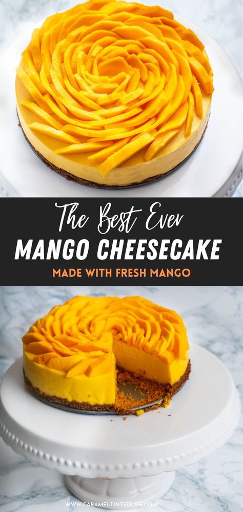 Easy recipe for the smoothest, silkiest mango cheesecake made with fresh mango puree and no added cream! Garnished with fresh mangoes, makes for a delicious summer treat! #mango #cheesecake #instantpot #summer #instapot #dessert Squash Instant Pot, Quick Instant Pot Recipes, Mango Cheesecake Recipe, Indian Instant Pot Recipes, Indian Instant Pot, Instant Pot Recipes Easy, Mango Desserts, Baked Recipe, Winter Stews