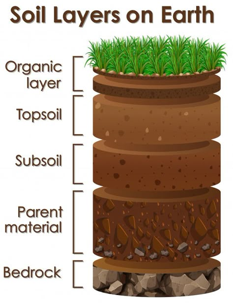 Soil Diagram, Soil Worksheet, Layers Of Soil, Save Soil, Engineering Life, Engineering Civil, Earth Science Activities, Soil Science, Structural Engineer