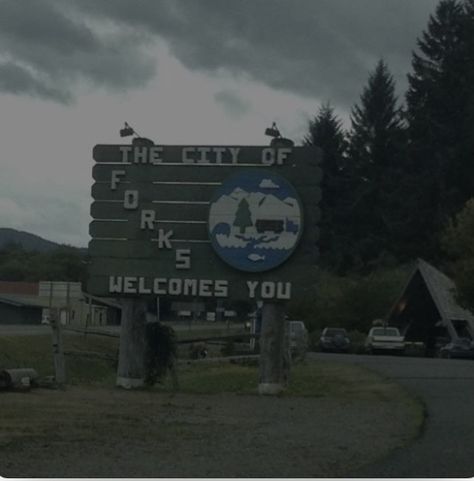 Twilight Dr Aesthetic, Forks Washington Forest, Washington Forks Aesthetic, Twilight Forks Aesthetic, Welcome To Forks Twilight, Washington Forest Aesthetic, Forks Aesthetic Twilight, Twilight Aesthetic Forest, Washington Twilight Aesthetic