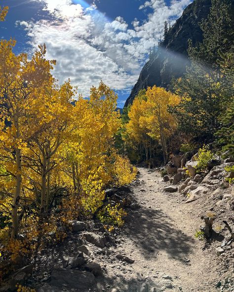 Estes Park + Fort Collins Fort Collins Aesthetic, Fort Carson Colorado, 2025 Vibes, 2025 Mood, Fort Collins Colorado, Estes Park, Fort Collins, Fort, Colorado