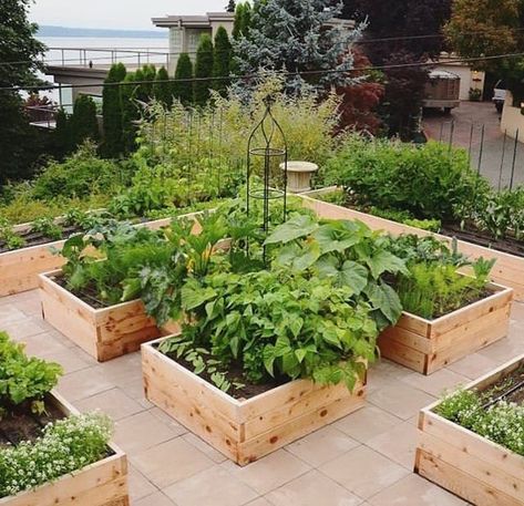 Stunning Vegetable Garden Ideas | Family Food Garden Roof Top Garden, Roof Garden Design, Urban Backyard, Raised Vegetable Gardens, Rooftop Gardens, Backyard Garden Ideas, Winter Gardening, Vegetable Garden Ideas, Vegetable Gardens