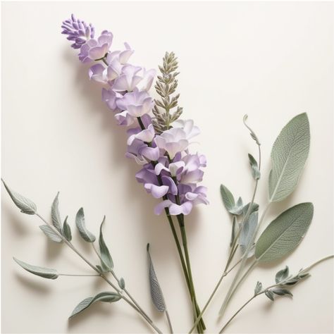 Soft, serene, and trendy! Lavender and Sage bring a sense of calm and freshness to any decor or wardrobe. A match made in color heaven! 💜💚 #LavenderAndSage #FreshColors #SoothingShades #TrendingNow #SoftAndSerene Green And Lavender Aesthetic, Neutral Purple, Sage Aesthetic, Green And Lavender, Lavender Aesthetic, Lavender Sage, Color Inspo, Purple And Green, Match Making