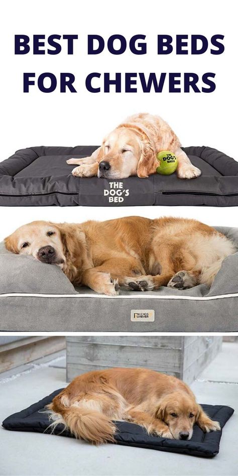 Chew Proof Dog Bed, Best Beds, Beds For Dogs, Dog Stairs, Dog Clothes Diy, Best Dog Beds, Dog House Diy, Diy Dog Bed, Dog Stroller