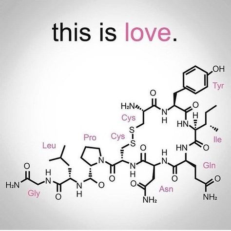 The chemical formula for love. C8H11NO2+C10H12N2O+C43H66N12O12S2 Chemistry Tattoo, Molecule Tattoo, Science Chemistry, Chemical Formula, Science Jokes, Thread Painting, Organic Chemistry, Needle Point, Biochemistry