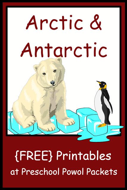 Arctic & Antarctic Themed FREE Preschool Printables | Preschool Powol Packets Polar Bear Worksheets, Arctic Animals Printables, Arctic Activities, Friendship Activity, Arctic Animals Preschool, Animals Worksheet, Book Club For Kids, Antarctic Animals, Daycare Curriculum