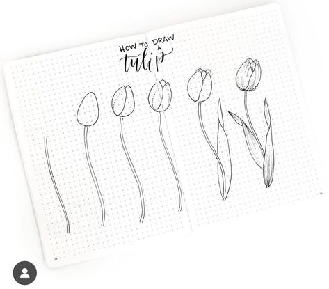 Easy Flower Doodles, Hur Man Ritar Blommor, Tulip Drawing, Easy Flower Drawings, Bujo Doodles, Bullet Journal Spreads, Flower Drawing Tutorials, Journal Spreads, Easy Flower