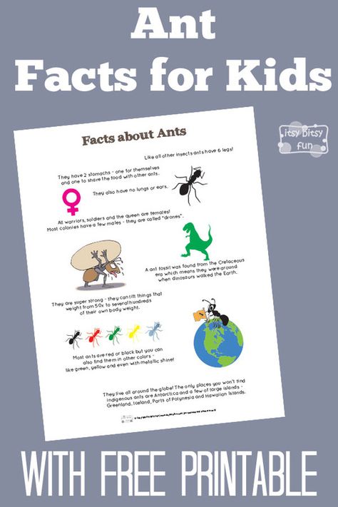 Fun Ant Facts for Kids With Free Printables Preschool Ant, Ant Lesson, Ants Activities, Ant Crafts, Insect Unit, Insects Preschool, Bugs Preschool, Insect Activities, Fun Facts For Kids