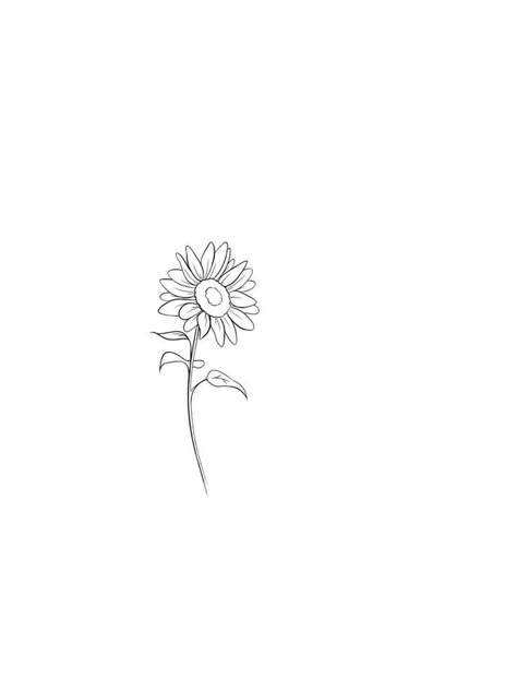 Daisy And Sunflower Bouquet Tattoo, Minimal Sunflower Tattoo Simple, Flower Tattoo Simple Minimalist, Fine Line Daisy Tattoo Ideas, Daisy Tattoo One Line, Sunflower Line Drawing Tattoo, Sunflower Line Drawing Simple, Small Line Tattoo Ideas, Sunflower Fine Line Drawing