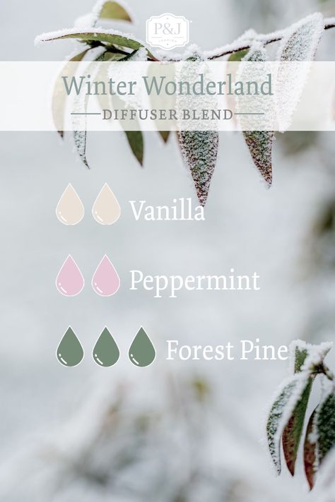 Christmas Diffuser Blend - Winter Wonderland Holiday Diffuser Blends, Christmas Diffuser Blends, Essential Oil Spray Recipes, Essential Oil Perfumes Recipes, Essential Oil Diffuser Blends Recipes, Essential Oils Guide, Essential Oil Diffuser Recipes, Oil Diffuser Recipes, Essential Oil Mixes