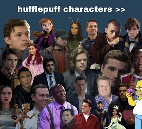 Hufflepuff Characters, Hufflepuff Pride, Proud To Be, Cartoon Characters, Harry Potter, Memes, Movie Posters, Fictional Characters, Pins