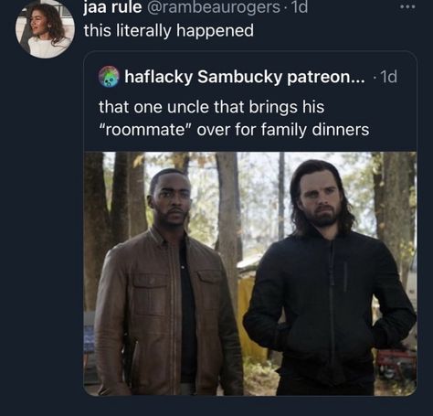 Winter Soldier Funny, Sam And Bucky, Bucky Barnes Fanfiction, Falcon Marvel, Captain America And Bucky, Falcon And The Winter Soldier, Bucky Barnes Winter Soldier, The Winter Soldier, The Falcon