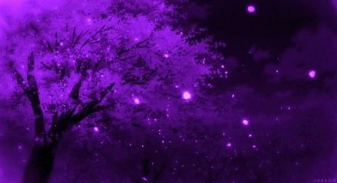 Purple Aesthetic Banner Discord, Purple Gifs Aesthetic, Purple Aesthetic Header Gif, Purple Gif Pfp For Discord, Purple Vibe Gif, Purple Aesthetic Pfp Gif, Purple Anime Aesthetic Gif, Purple Discord Banners Gifs, Purple Anime Banner Gif