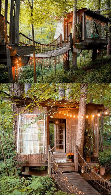 Diy She Shed, Reclaimed Windows, Tree House Ideas, Beautiful Tree Houses, Tree House Diy, Cool Tree Houses, Tree House Designs, Backyard Sheds, House Backyard