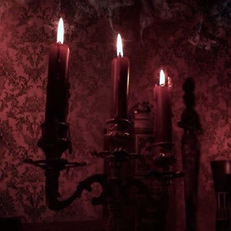 Vampire Office, Vampire Core, Vampire Vibes, Victorian Vampire, Vampire Gothic, Vampire Aesthetic, Dragon Phoenix, Victorian Aesthetic, Vampire Goth