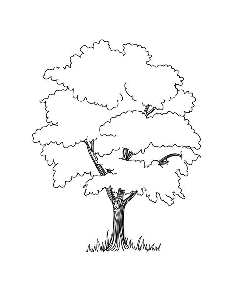 This FREE printable tree coloring page is perfect for all seasons and Earth Day too. Tree Coloring, Tree Drawing, Digi Stamps, Colouring Pages, Wood Burning, Coloring Page, A Tree, Adult Coloring, Drawing Ideas