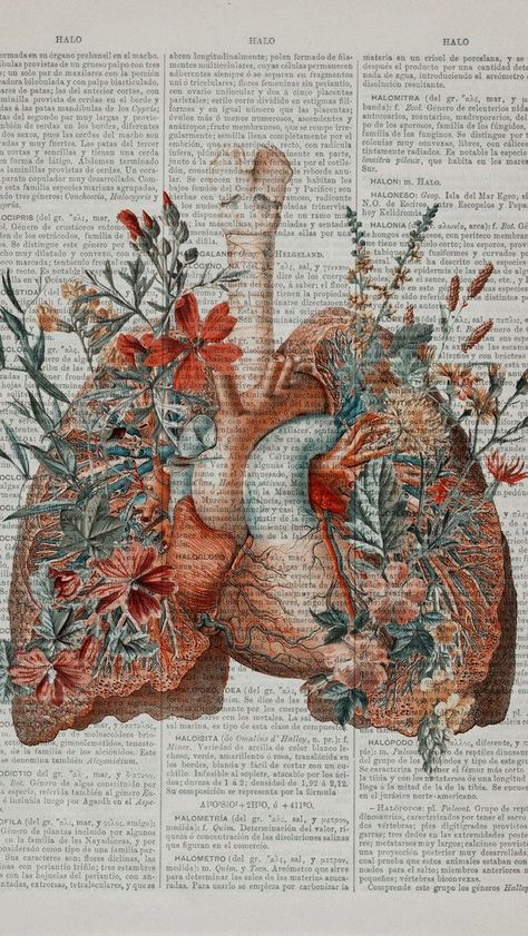 Pin by Anna O'Brien on pretty | Anatomy art, Biology art, Vintage poster art Human Anatomy Wallpaper, Lung Wallpaper, Cottagecore Collage, Biology Aesthetic, Art Anatomy, Anatomy Quotes, Medical Wallpaper, Biology Art, Human Anatomy Art