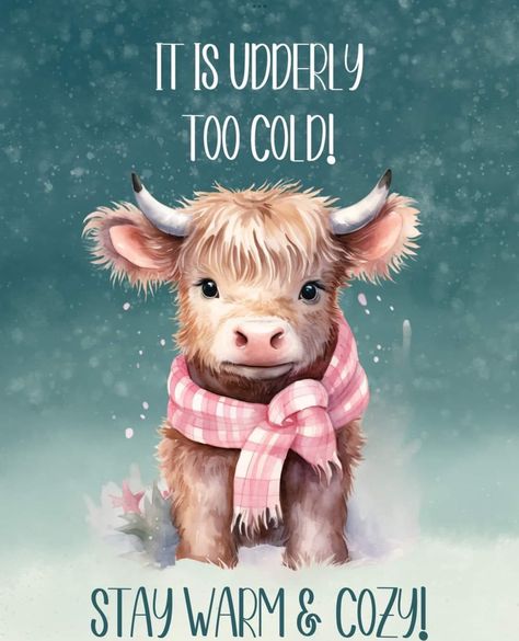 Good Morning Cold Day Winter, Stay Warm Quotes, Funny Cold Weather Quotes, Cold Humor, Encouragement Box, Cold Weather Funny, Winter Good Morning, Cold Weather Quotes, Warm Quotes