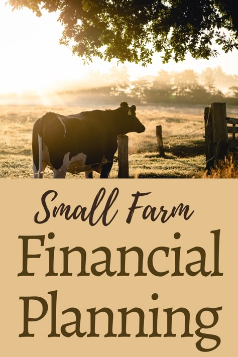 Holistic Financial Management Basics - Rough and Tumble Farmhouse Small Farm Business Plan, Farming Ideas Agriculture, Farm Management, Manage Finances, Commercial Farming, Small Farms, Homesteading Diy, Farm Plans, Farm Layout