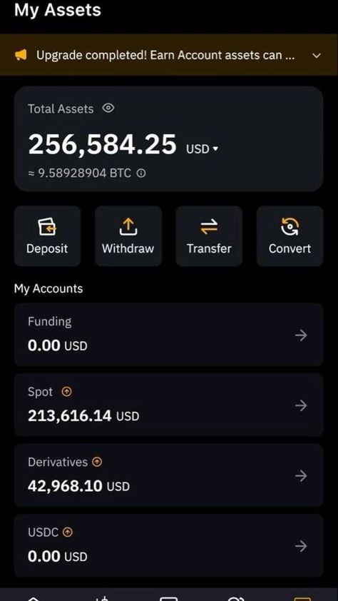 Crypto Account Balance, Bybit Crypto Wallet Balance, Crypto Wallet Balance, Crypto Balance, Bitcoin Balance, Loui Vuttion, Facebook Lottery, Bank Logo, Bitcoin Account