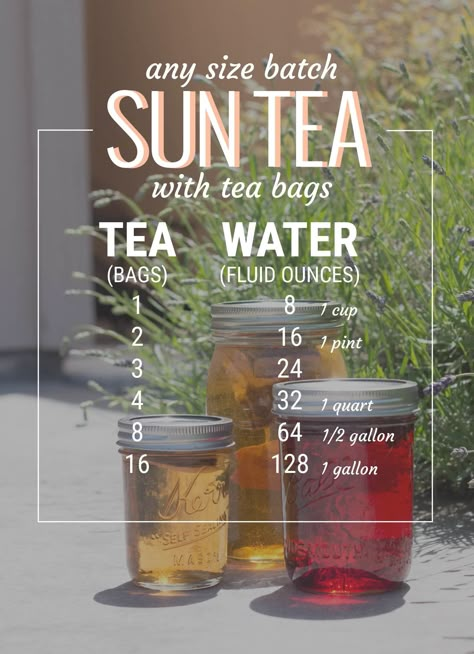 sun tea guide for tea bags // picklejarstudios.com Sun Tea Recipes, Tea Guide, Sun Tea, Iced Tea Recipes, Pickle Jars, Eat Better, Ice Tea, Rachael Ray, Drinks Smoothies