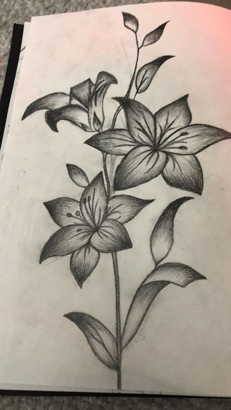 Shading Drawing Sketches Portraits, Shaded Flower Drawing, Daylillies Drawing, Pencil Art Drawings Aesthetic Easy Black, Flower Art Drawing Sketches Simple, Flower Collage Drawing, Easy Things To Sketch For Beginners, Art Sketches Pencil Creative Easy, Pencil Flower Drawings