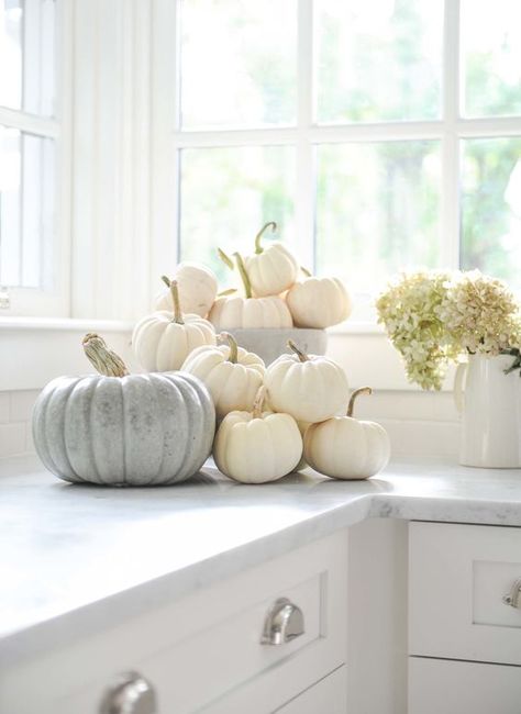 Countertop fall decor idea - display of white pumpkins in the kitchen | photographer Tracey Ayton White Fall Decor Ideas, Pumpkin Cottage, Wildflower Cottage, Autumn Farmhouse, Coastal Fall, Modern Fall Decor, Fall Cottage, Autumn Cottage, Fall Home Decor Ideas