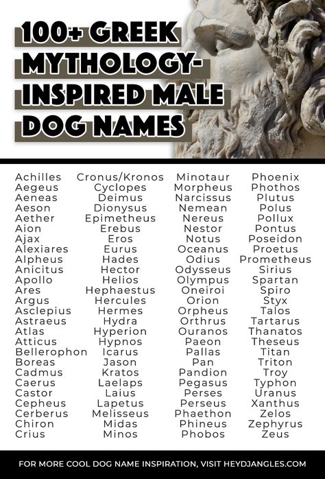 From Zeus to Titan, Apollo, Hades, Morpheus, Sirius and more, check out 100+ inspiring Greek god names, and Greek mythology-inspired names for male dogs right here! Male Gods Names, Names From Greek Mythology, Greek Gods Names And Meanings, God Names Ideas, Norse God Names, Greek Mythology Inspired Names, Male Greek Gods Names, Greek Gods Male, Male Mythology Names