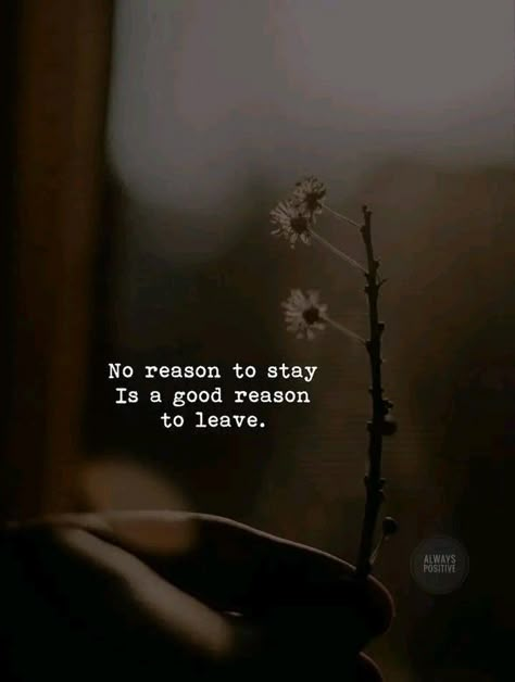 Don’t Lead People On Quotes, A Lady Always Knows When To Leave Quote, If You Are Not Happy Leave Quotes, Leaving Silently Quotes, Take It Or Leave It Quotes, Leave Quietly Quotes, Leave Quotes Relationships, If You Want To Leave Then Leave Quotes, Time To Leave Quotes